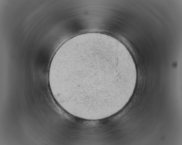 X0000088900810200707061453