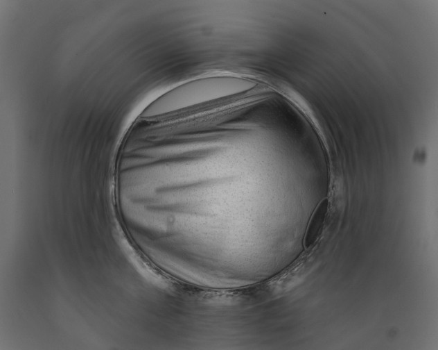 X0000088900811200707061453