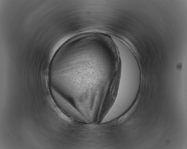 X0000088900812200707061453