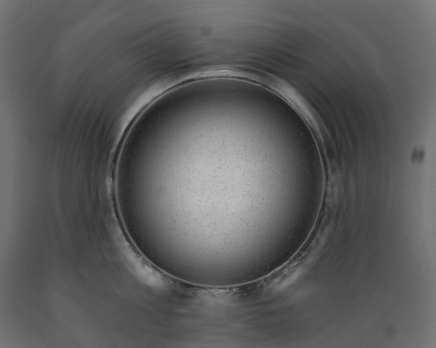 X0000088900813200707061453