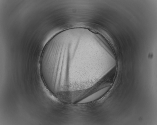 X0000088900814200707061453