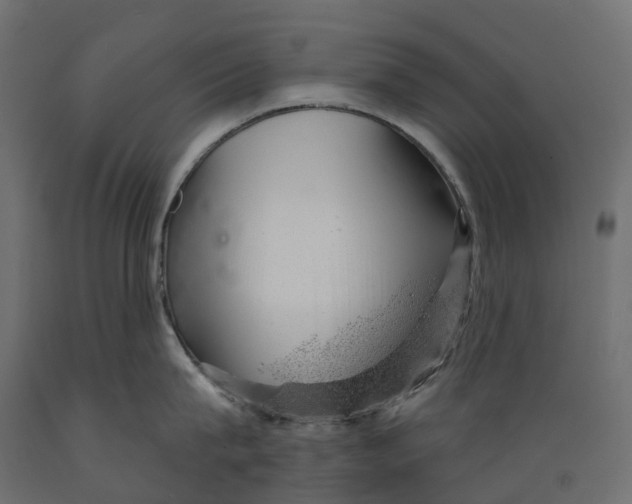 X0000088900815200707061453