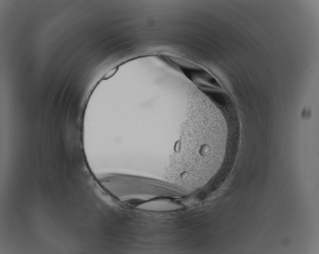 X0000088900816200707061453