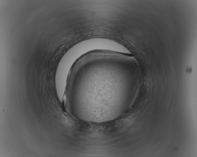 X0000088900818200707061452