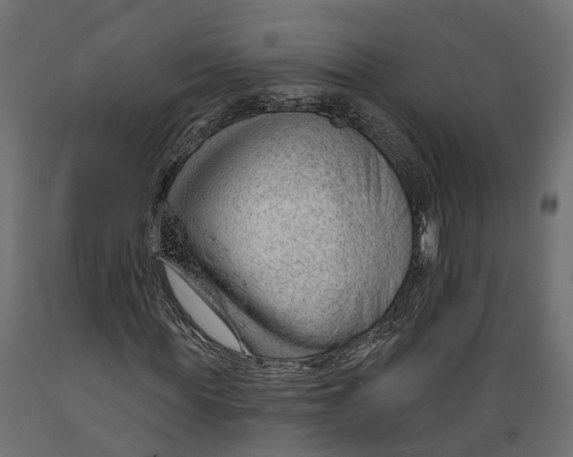 X0000088900819200707061452