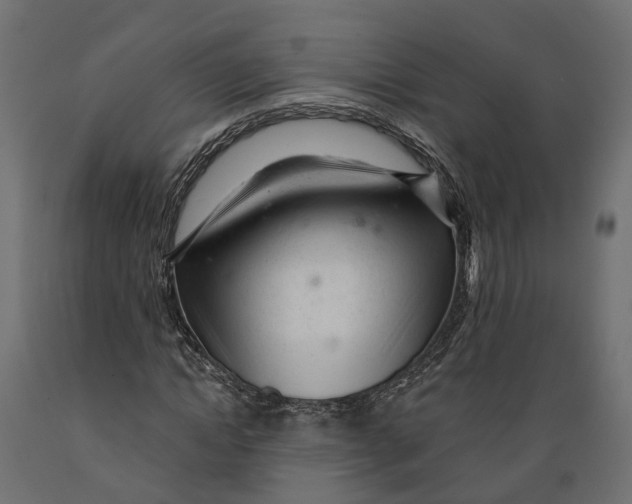 X0000088900822200707061452