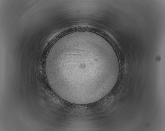 X0000088900823200707061452