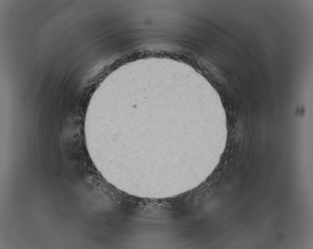 X0000088900824200707061452