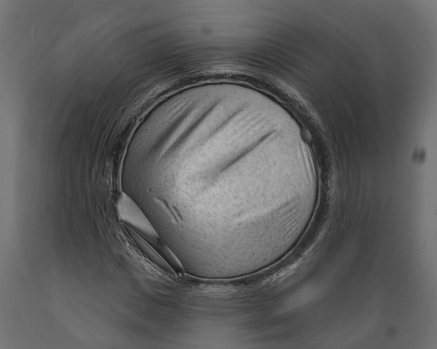 X0000088900825200707061452