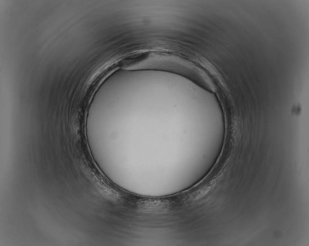 X0000088900826200707061452