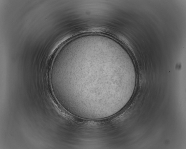 X0000088900827200707061452