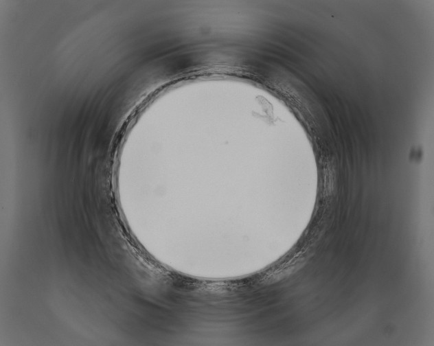 X0000088900828200707061452