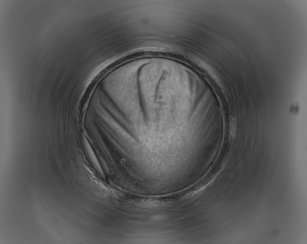 X0000088900829200707061452