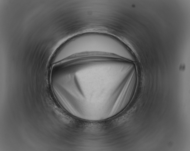 X0000088900830200707061452