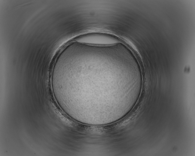 X0000088900831200707061452