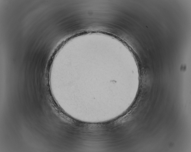 X0000088900832200707061452