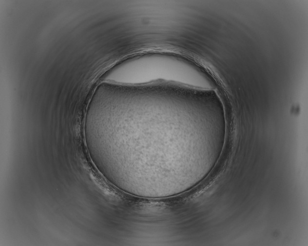 X0000088900833200707061452