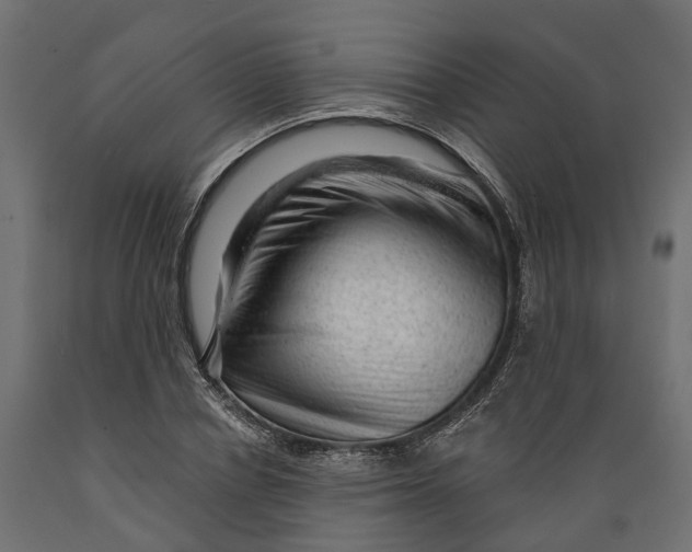 X0000088900834200707061452