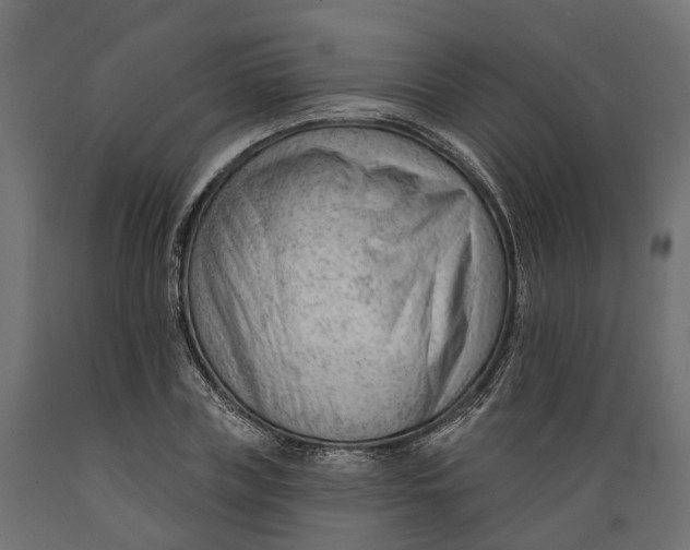 X0000088900835200707061452