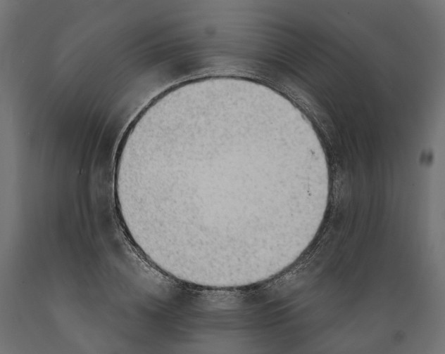 X0000088900836200707061452