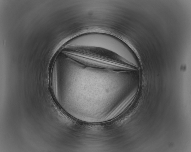 X0000088900837200707061452