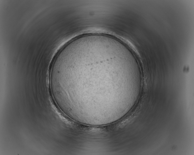 X0000088900839200707061452