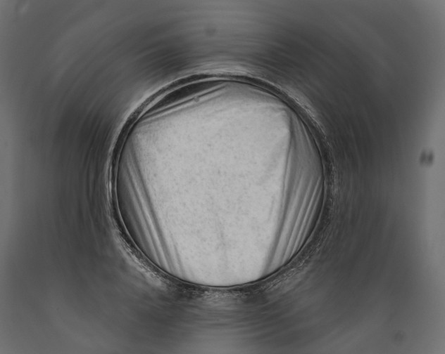 X0000088900840200707061452