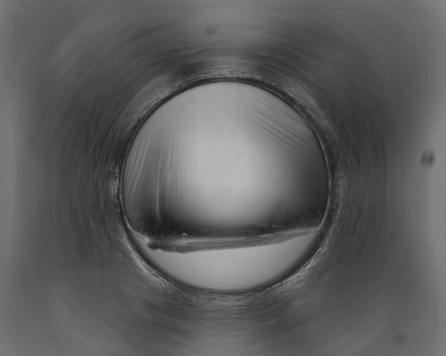 X0000088900841200707061452