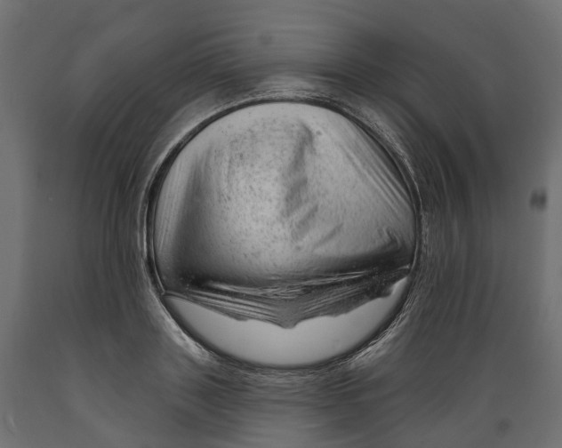 X0000088900843200707061452