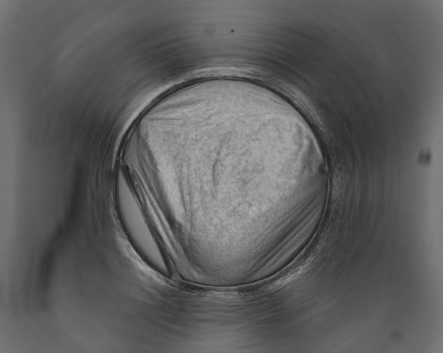 X0000088900844200707061452