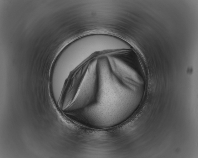 X0000088900845200707061452