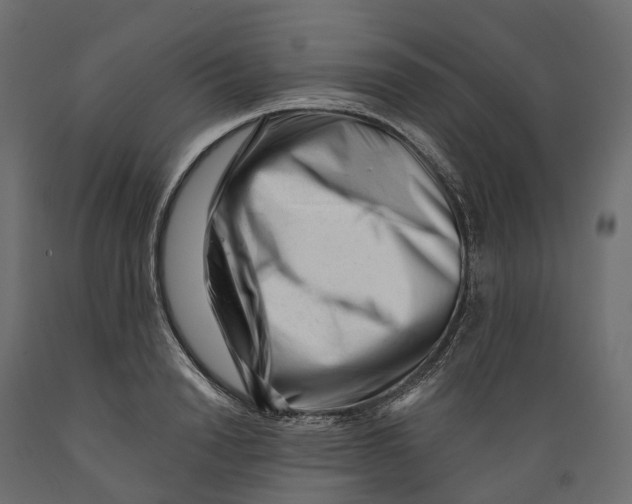 X0000088900846200707061453