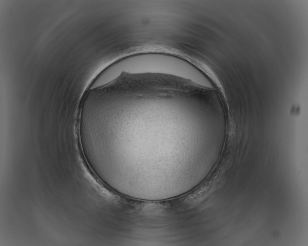 X0000088900847200707061453