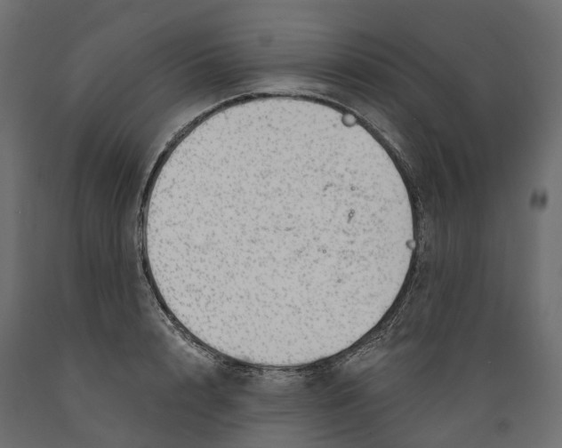 X0000088900848200707061453