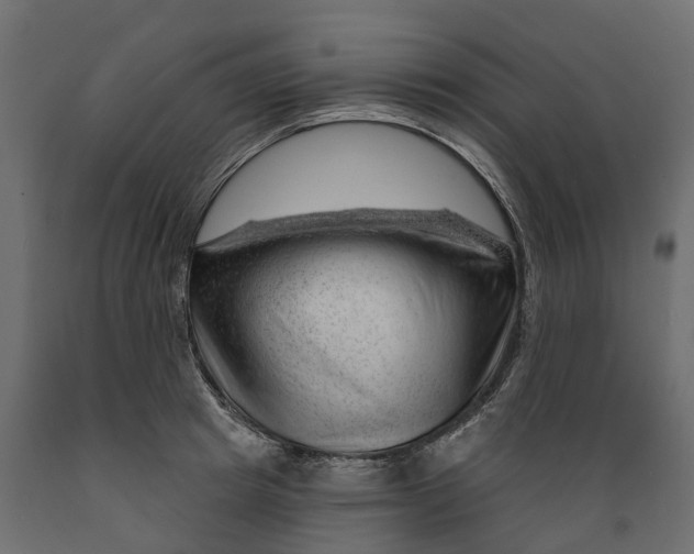 X0000088900849200707061453