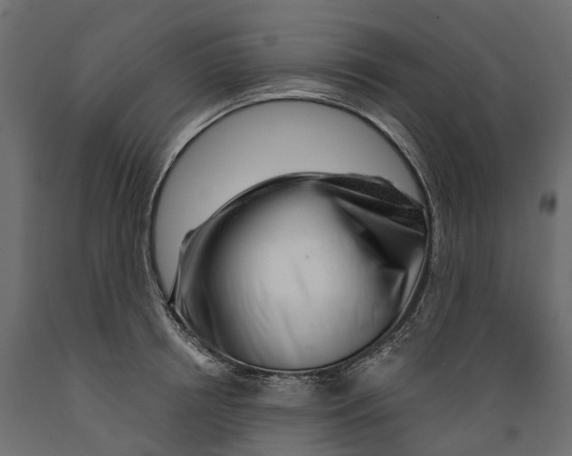 X0000088900850200707061453