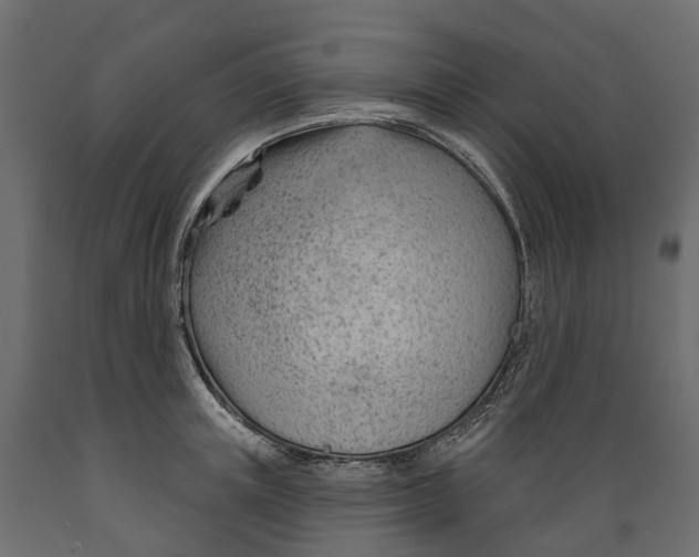 X0000088900851200707061453