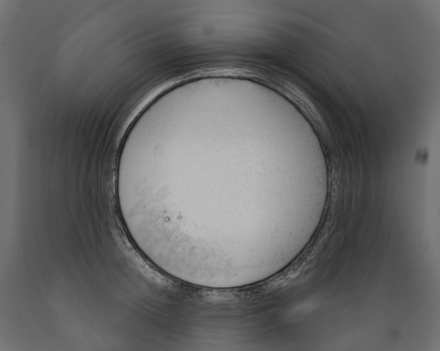 X0000088900852200707061453