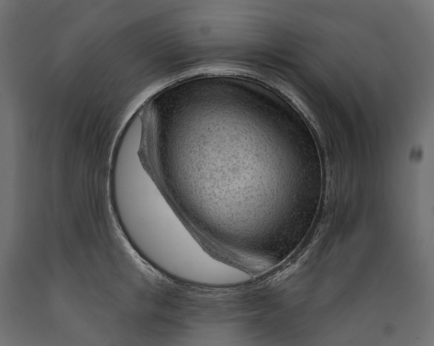 X0000088900853200707061453