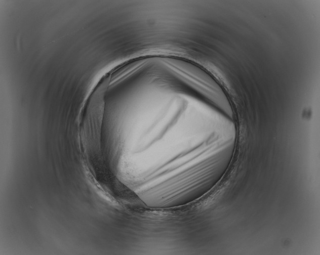 X0000088900854200707061453