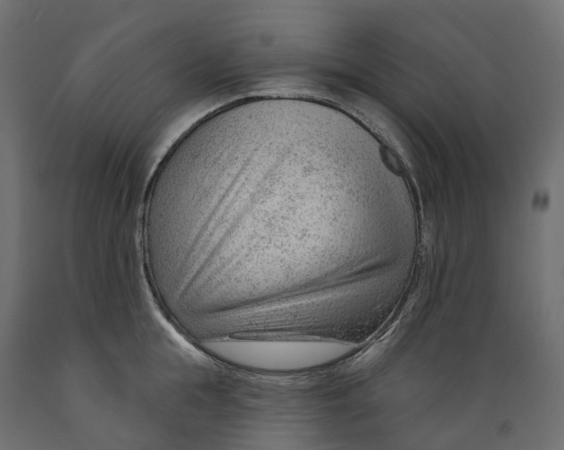 X0000088900855200707061453