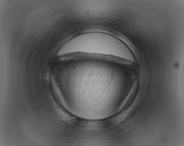 X0000088900857200707061453