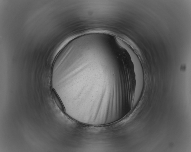 X0000088900860200707061453