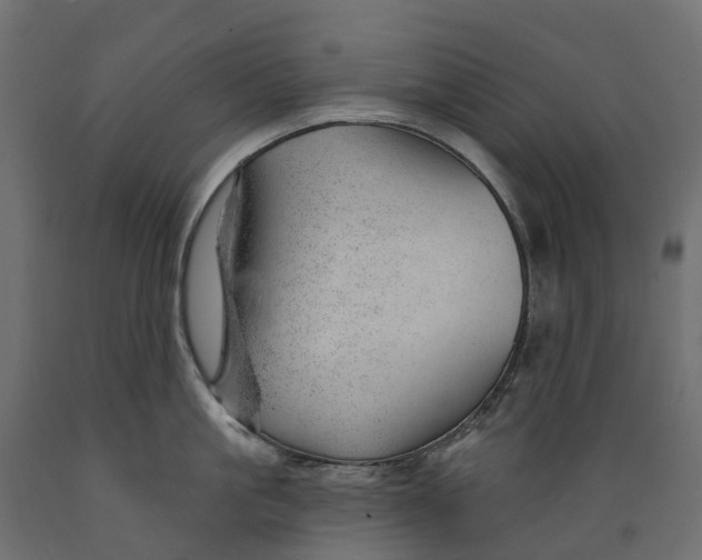 X0000088900861200707061453