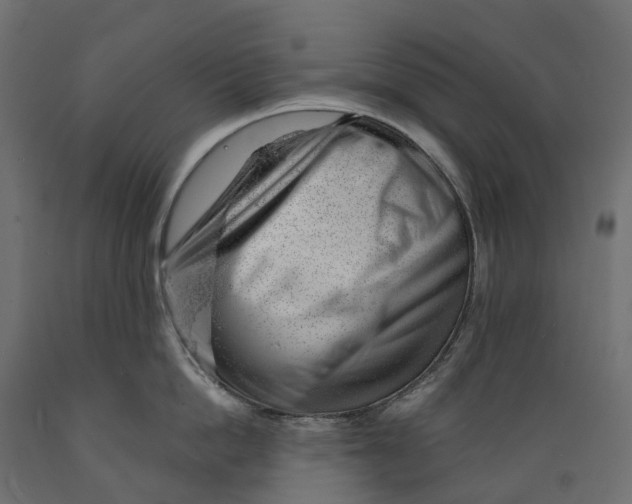 X0000088900862200707061453