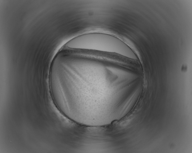 X0000088900863200707061453