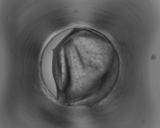 X0000088900864200707061453