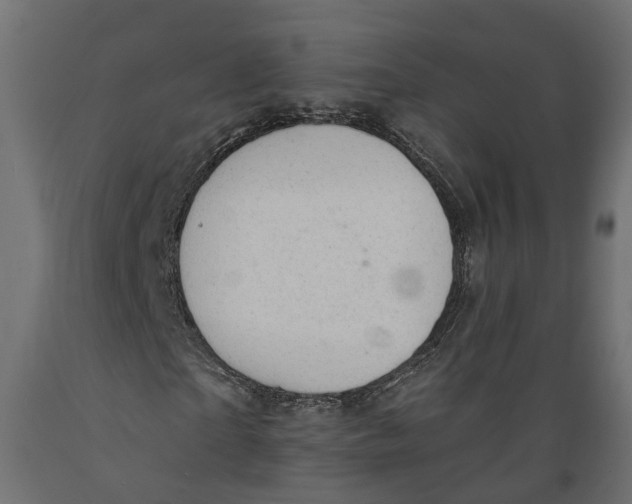 X0000088900865200707061452