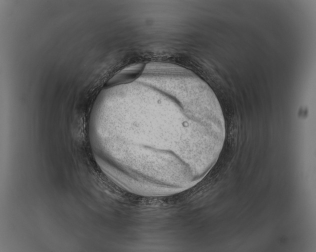 X0000088900866200707061452