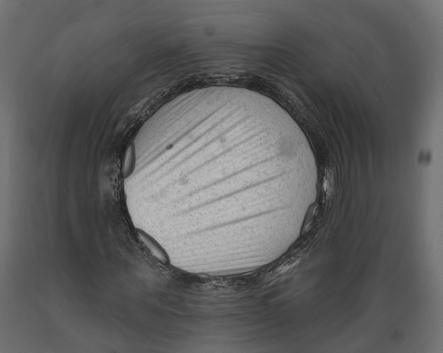 X0000088900867200707061452